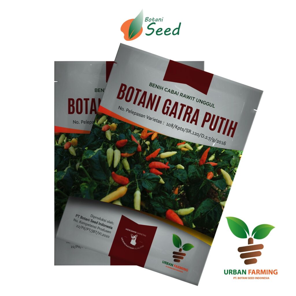 Benih Bibit Terbaik Bogor - Botani Gatra Putih