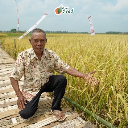 pupuk hayati cair Provibio Botani IPB University