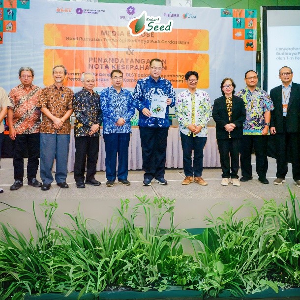 Hasil Panen Padi IPB 9G